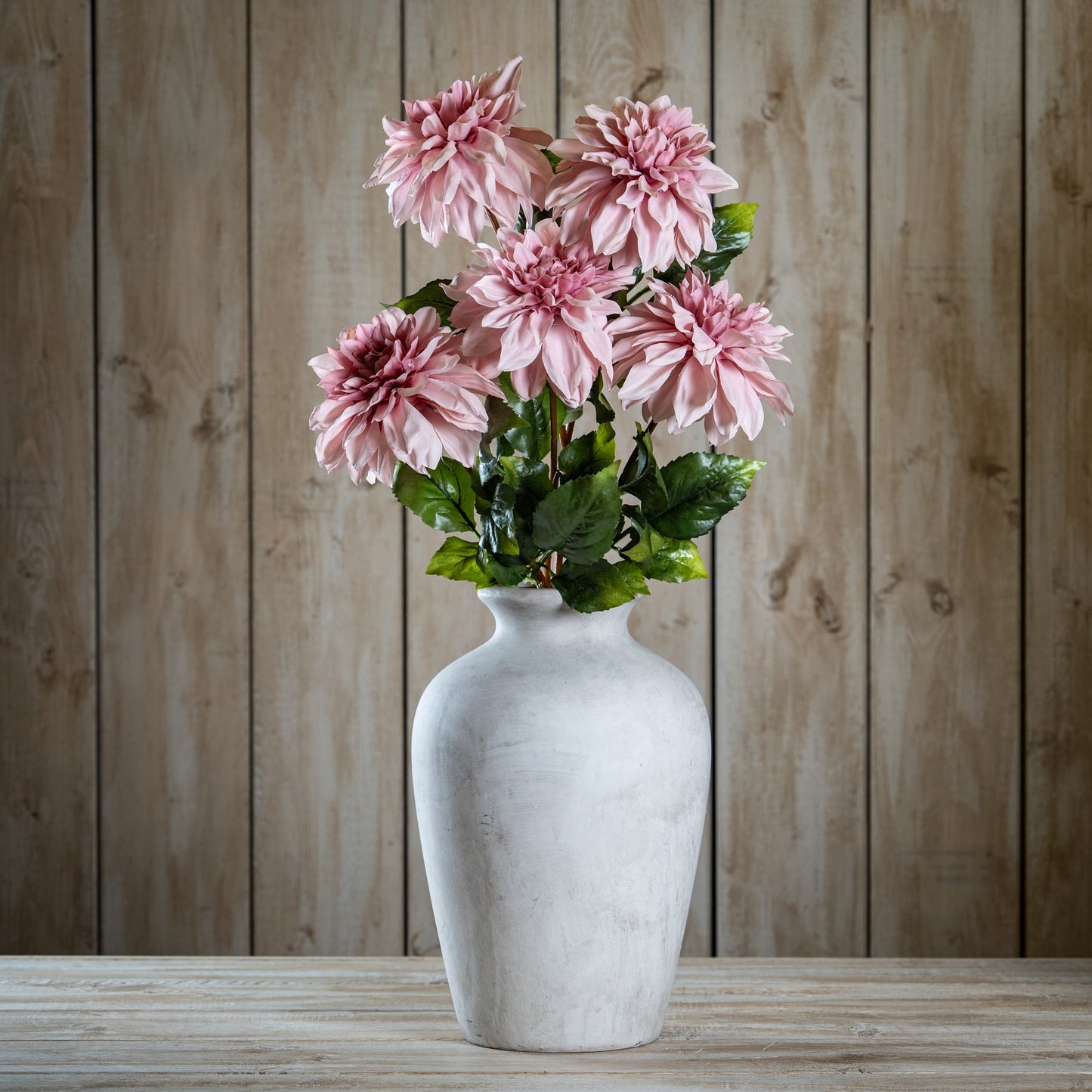 Pink Dahlia Stem