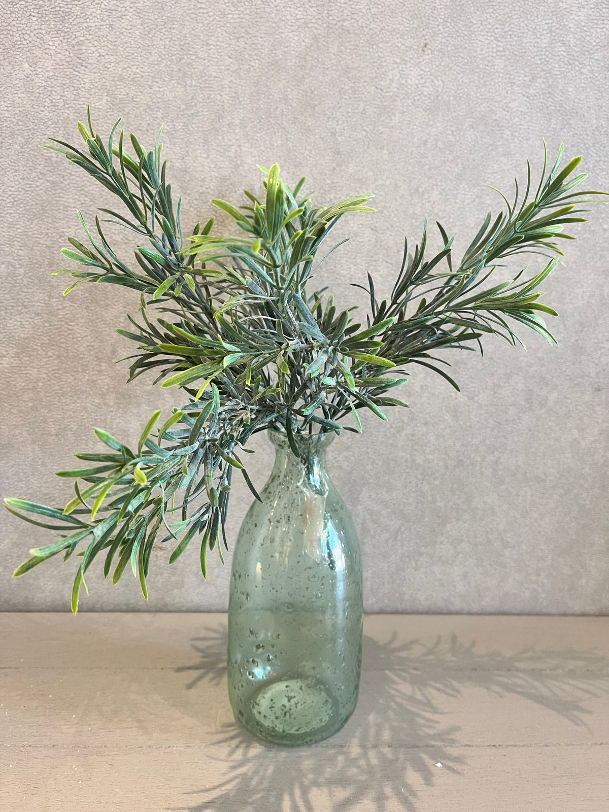 STEM ROSEMARY BUSH UV CB