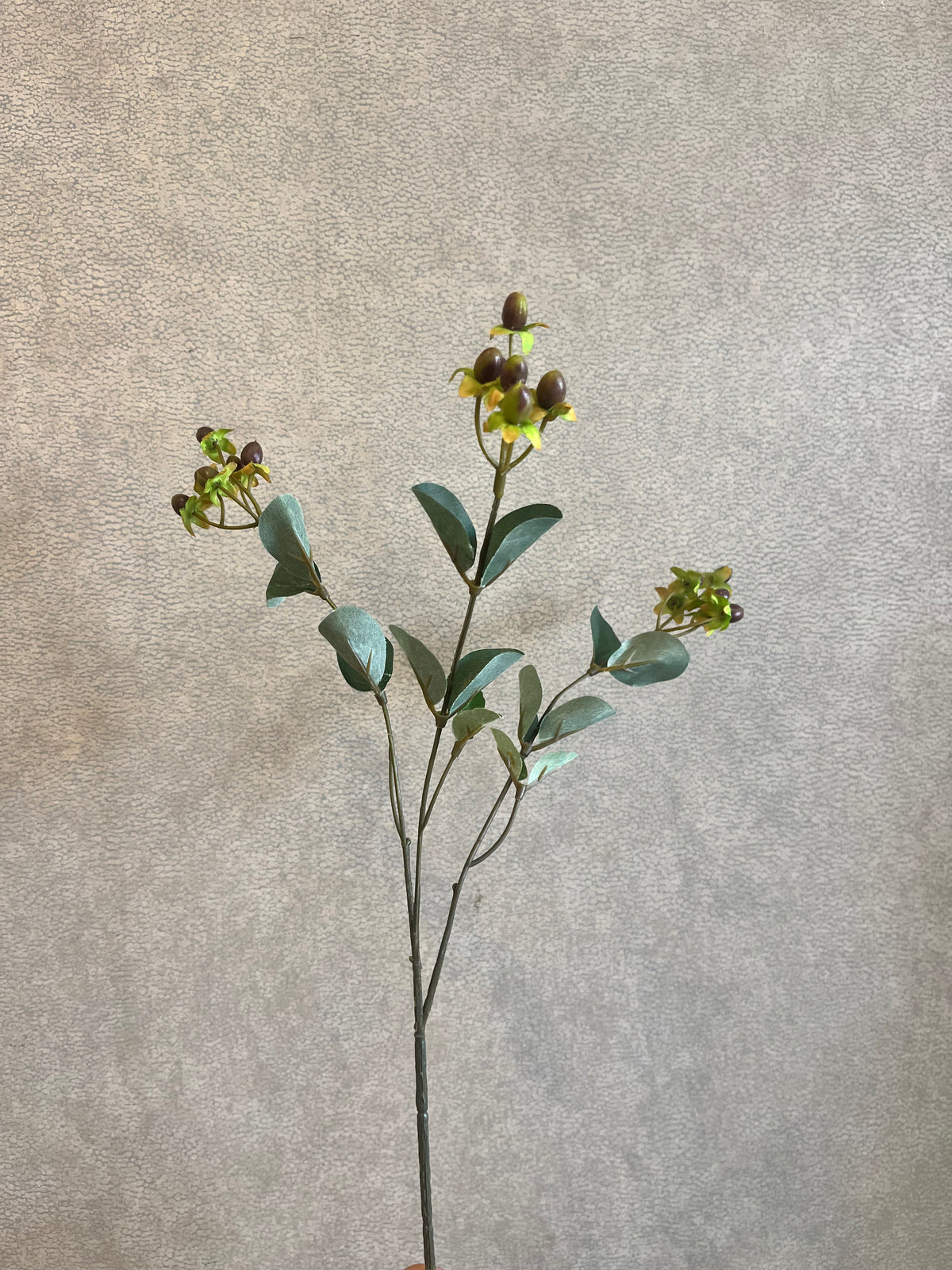 STEM HYPERICUM LIGHT MULBERRY CB