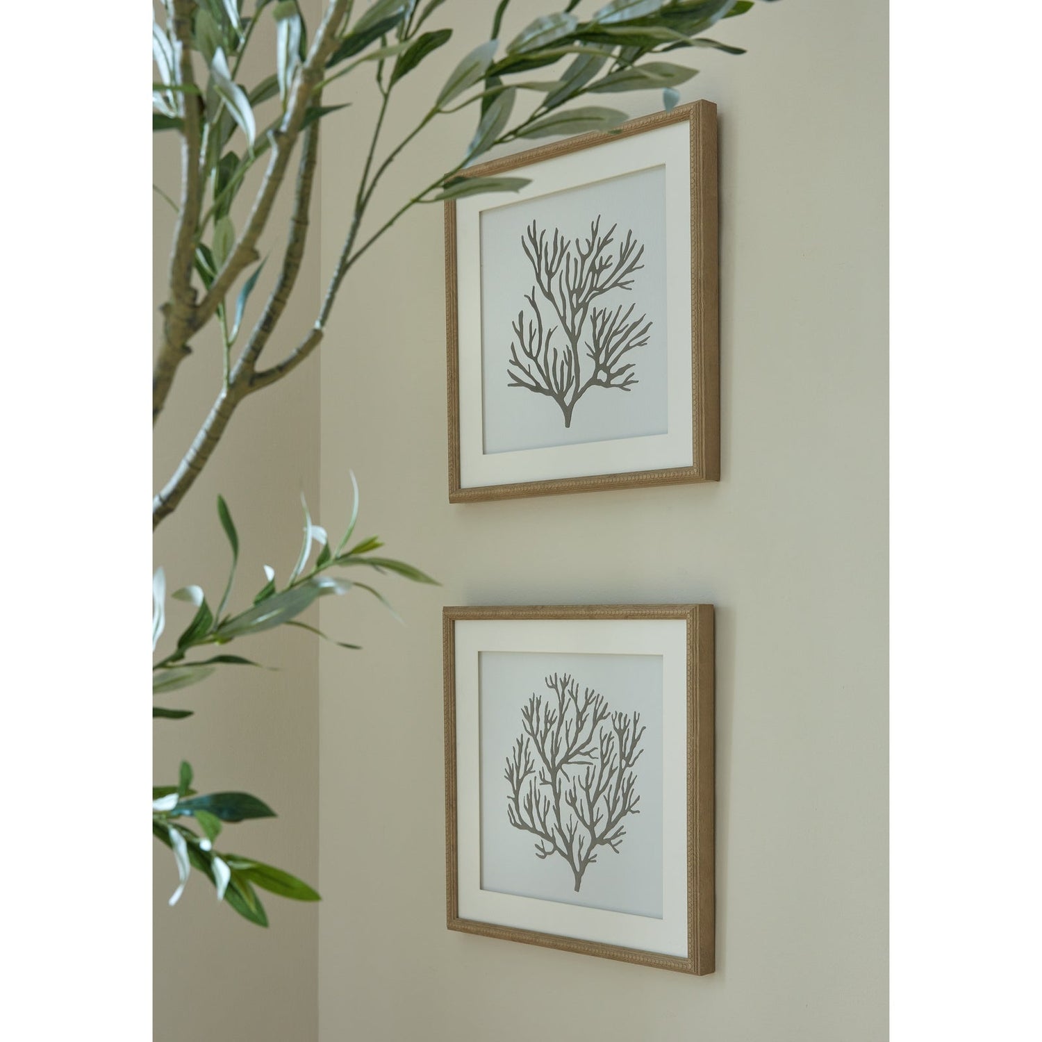 Two framed art prints of coral, black on a white background. Framed in a modern, light wooden frame.