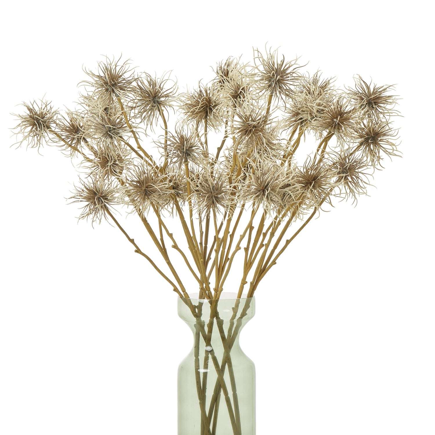 Floral Stems