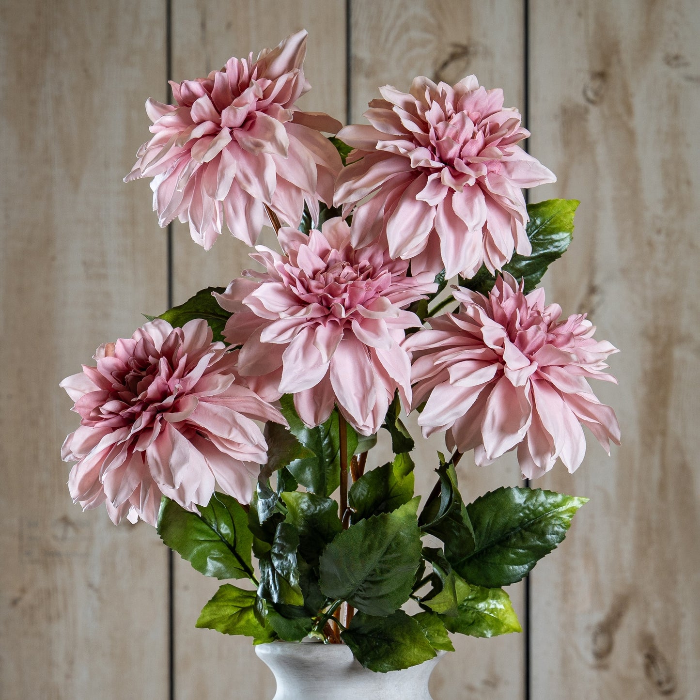 Pink Dahlia Stem