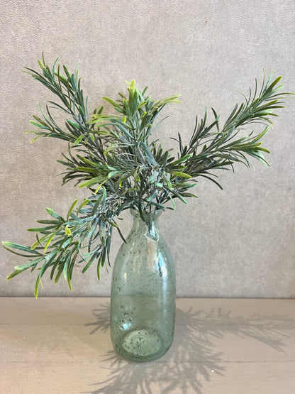 STEM ROSEMARY BUSH UV CB