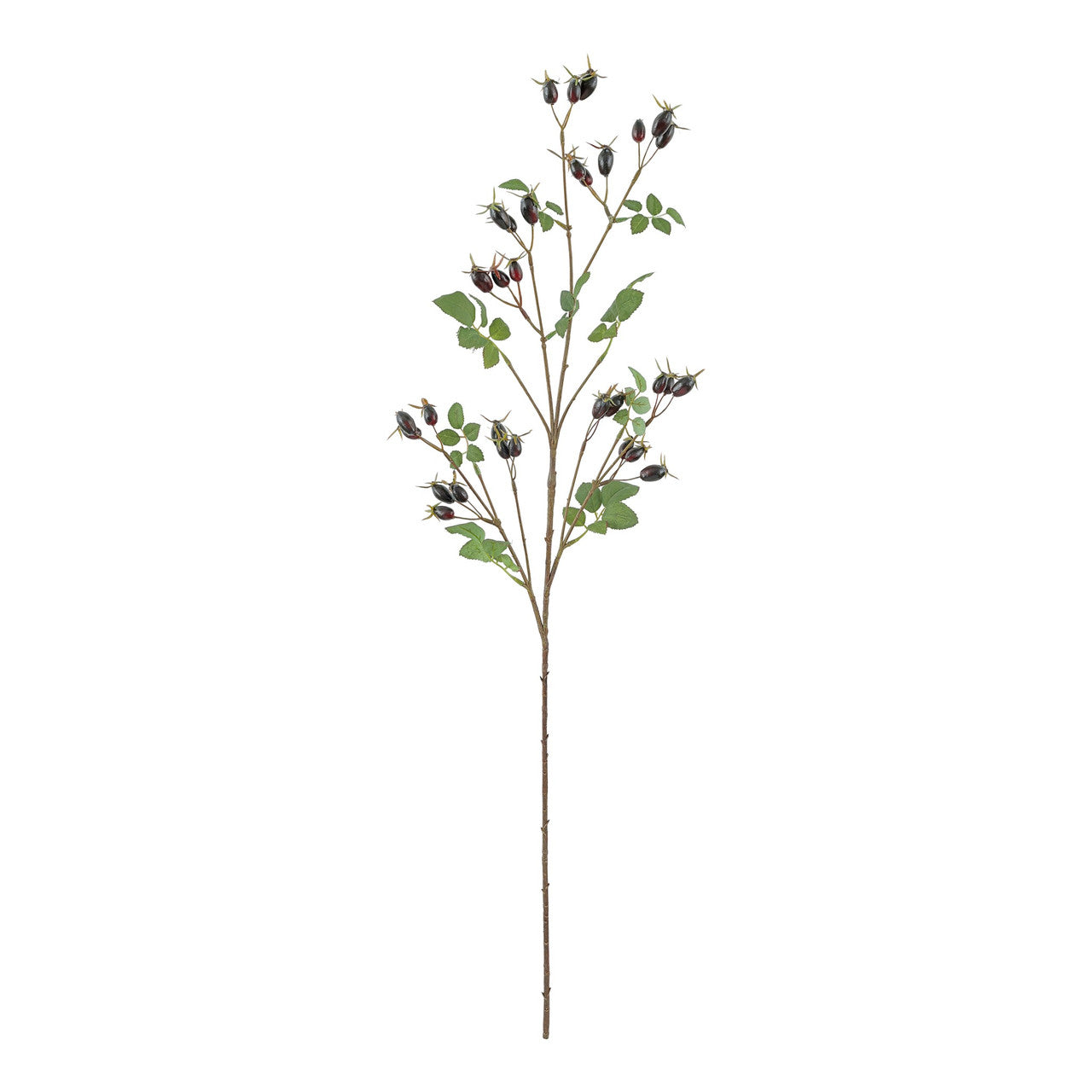 STEM ROSE HIP DARK CB