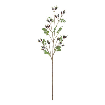 STEM ROSE HIP DARK CB