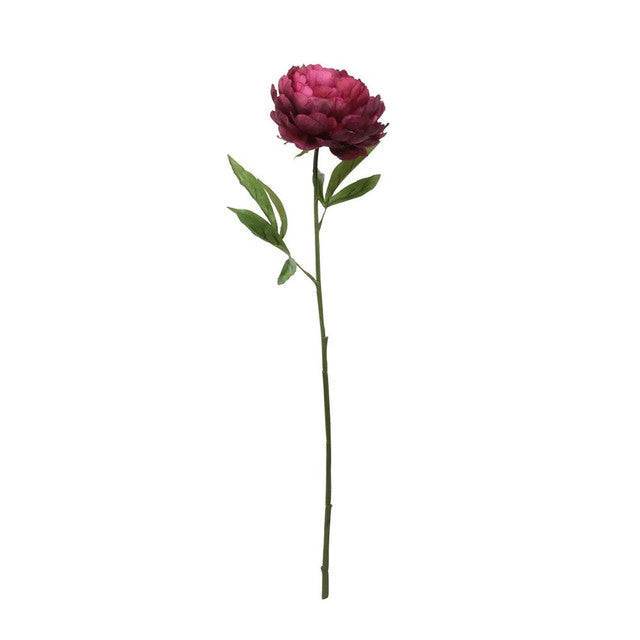 Peony Burgundy CB