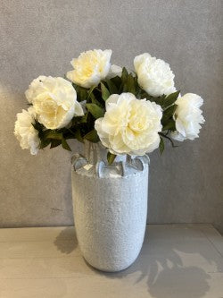 Peony Cream