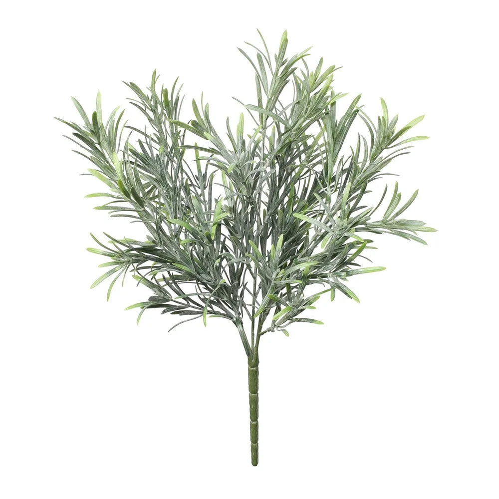 STEM ROSEMARY BUSH UV CB